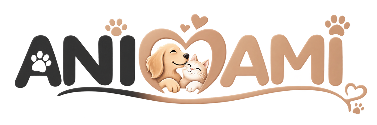 ANIMAMI